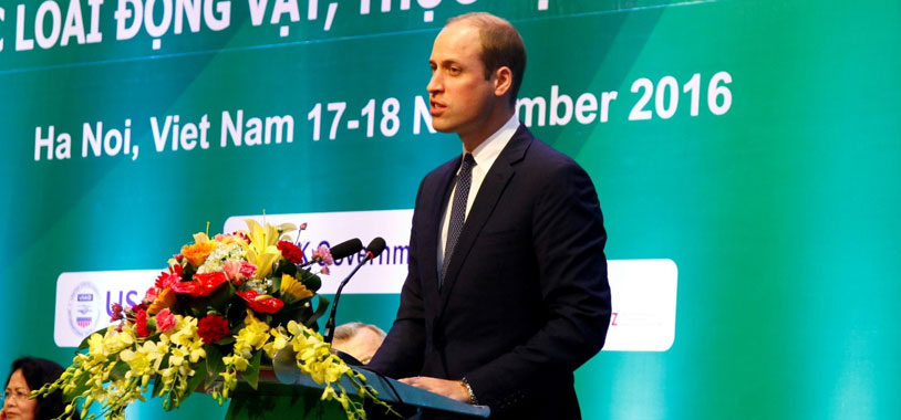 Prince William addresses the conference. @http://iwthanoi.vn/gallery/