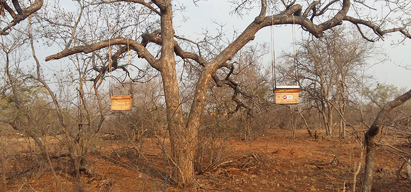  _189_https://www.savetheelephants.org/wp-content/uploads/2017/11/beehive-fences-south-africa.jpg