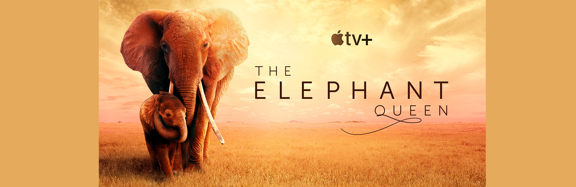 The Elephant Queen