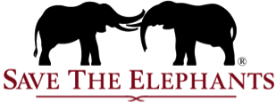 inline_920_https://www.savetheelephants.org/wp-content/uploads/2022/01/STE-logo-sm.png