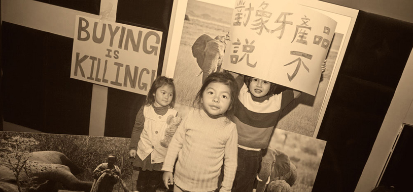  _526_https://savetheelephants.org/wp-content/uploads/2014/02/China-reduce-demand-campaign.jpg
