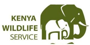  _589_https://www.savetheelephants.org/wp-content/uploads/2017/02/Kenya-wildlife-service-logo-300x150.jpg