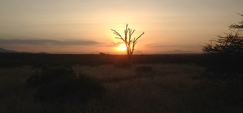A Samburu sunset