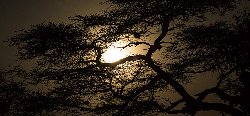 A beautiful Samburu sunset