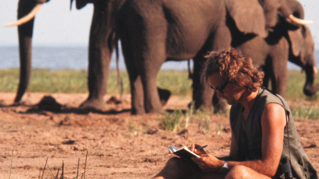 Save the Elephants - Securing a future for elephants and sustaining the ...